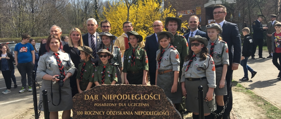 Dąb Niepodległości 