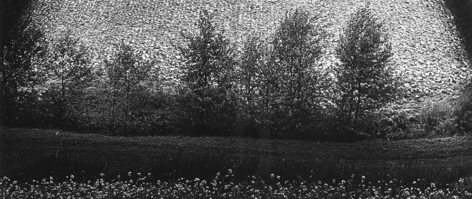 Galerie Miasta Ogrodów
