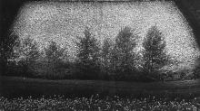 Galerie Miasta Ogrodów