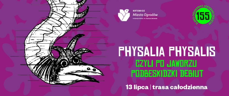 PHYSALIA PHYSALIS