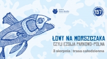 Łowy na morszczaka 