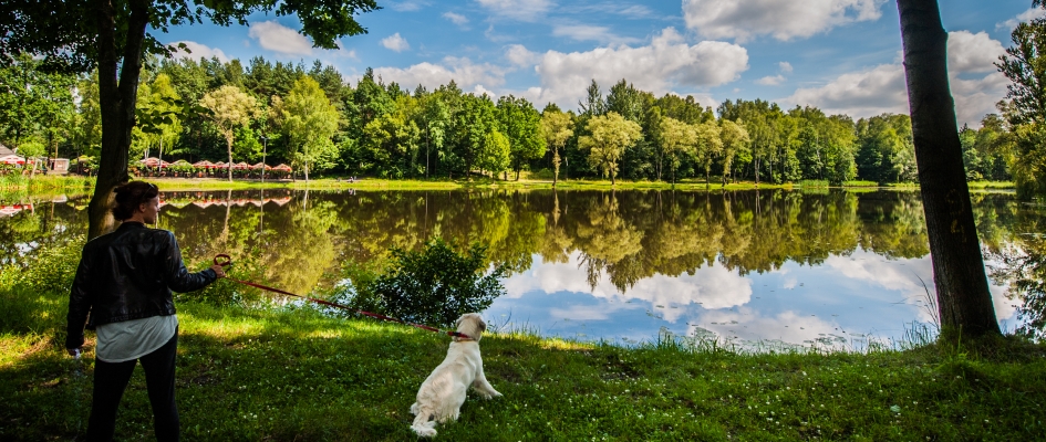 Śladami Schuberta i Liszta