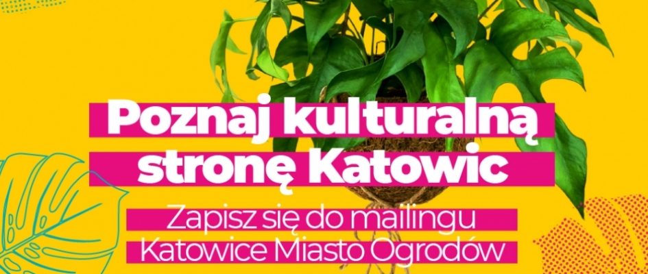 Infografika:
Poznaj kulturalną stronę Katowic
Zapisz się do mailingu Katowice Miasto Ogrodów