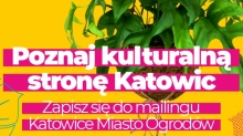 Infografika: 
Poznaj kulturalną stronę Katowic
Zapisz się do mailingu Katowice Miasto Ogrodów