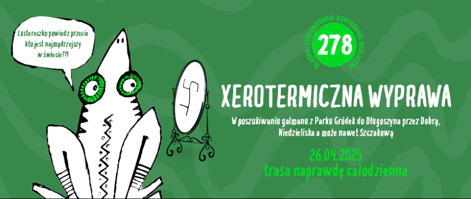 dekoracja