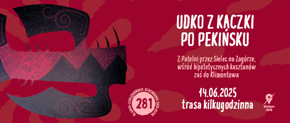 dekoracja