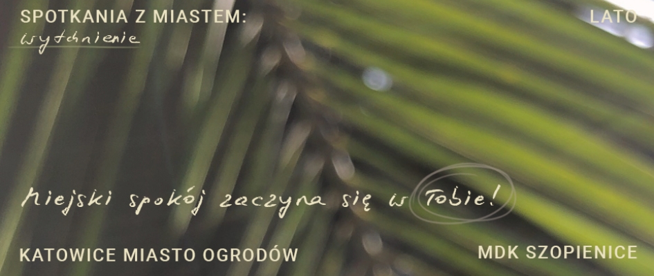 dekoracja
