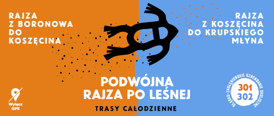 grafika artystyczna, pomarańczowo niebieska z wizerunkiem żaby i tytułem wydarzenia 