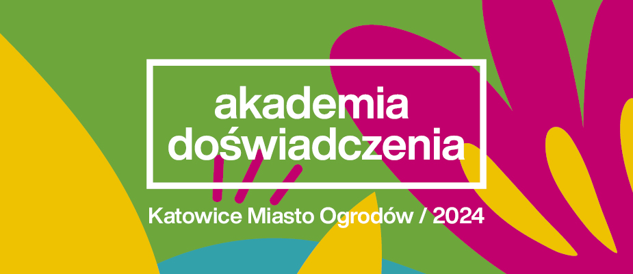 Infografika: kolorowe tło, Akademia Doświadczenia 2024