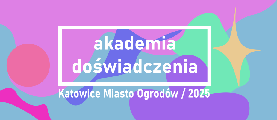 Infografika: kolorowe tło, Akademia Doświadczenia 2025